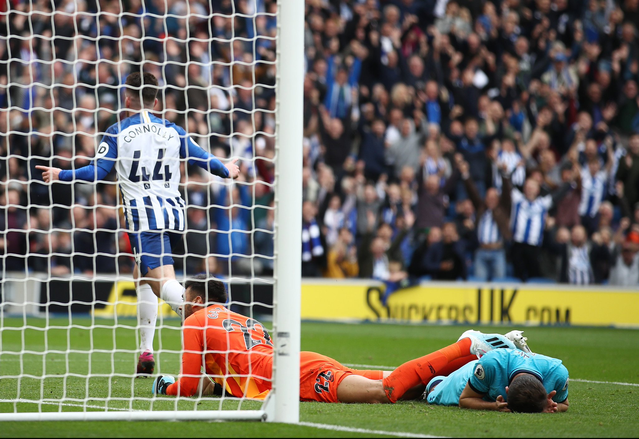 供了稳定的 供了稳定的