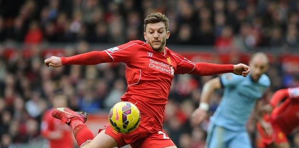 新星可以为 新星可以为